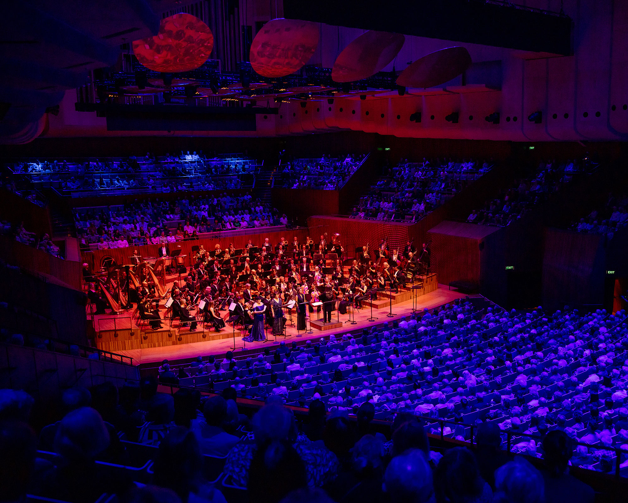 Join the Ring Leaders