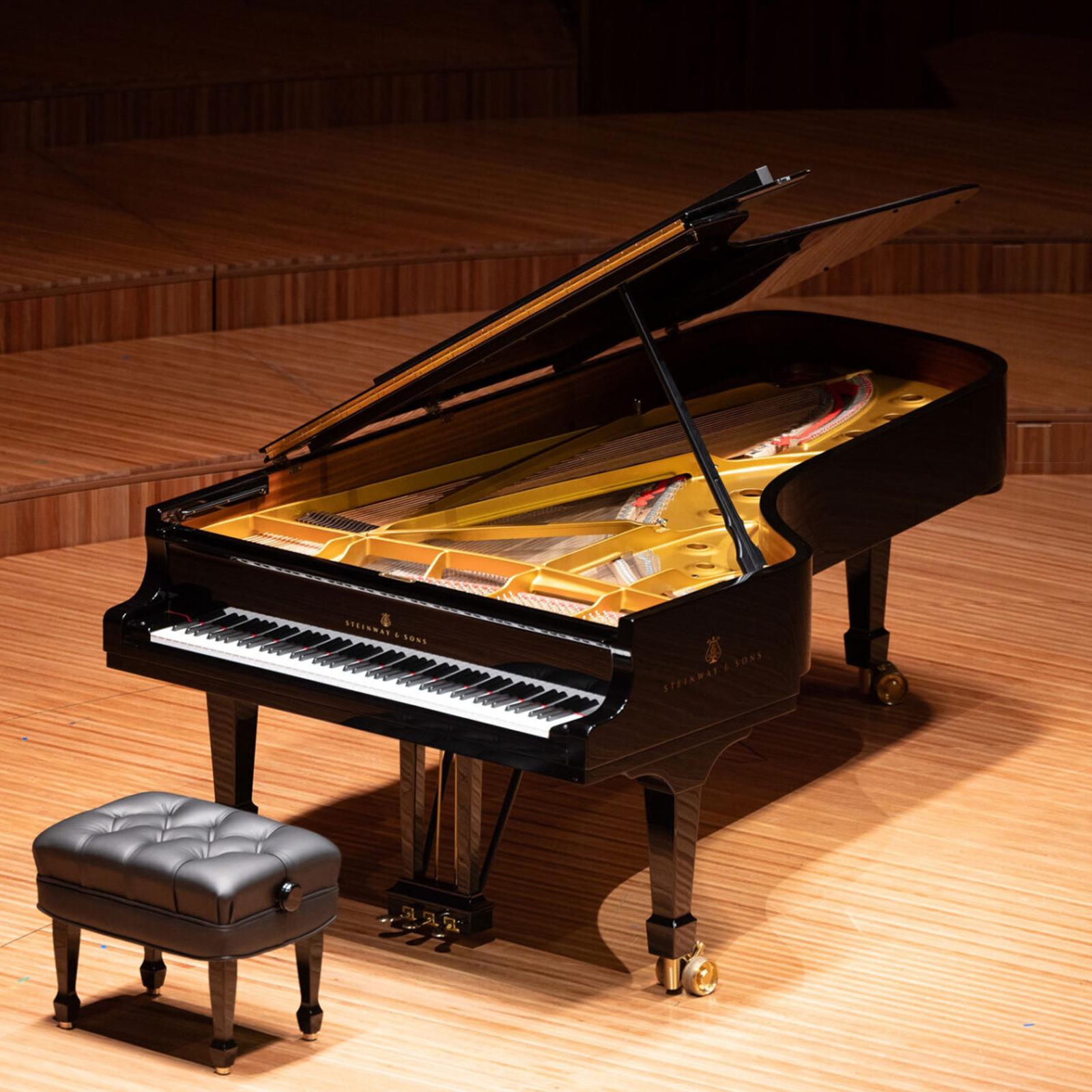 Theme and Variations